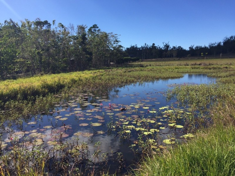 Lot 10 Holloway Drive, Sugarloaf QLD 4800