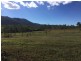 Lot 10 Holloway Drive, Sugarloaf QLD 4800