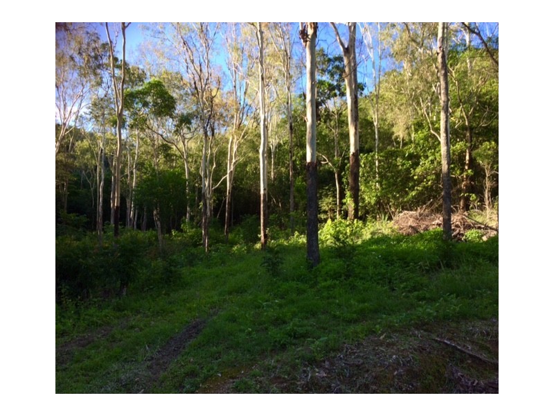 50 Smethurst Road, Mount Julian QLD 4800