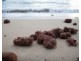 94 Gloucester Avenue, Hideaway Bay QLD 4800