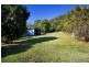 1156 Shute Harbour Road, Brandy Creek QLD 4800