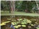 Lot 23 Mountney Road, Strathdickie QLD 4800