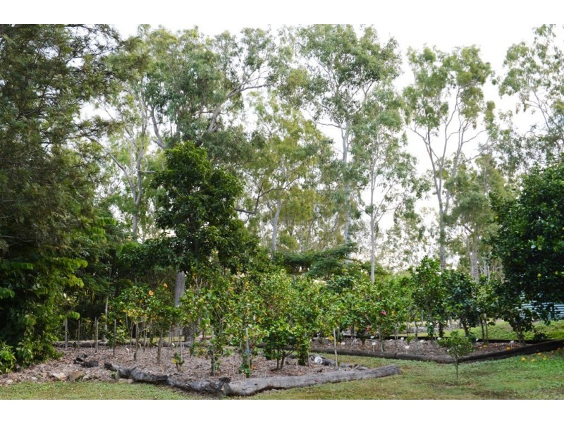 53 Mountney Road, Strathdickie QLD 4800