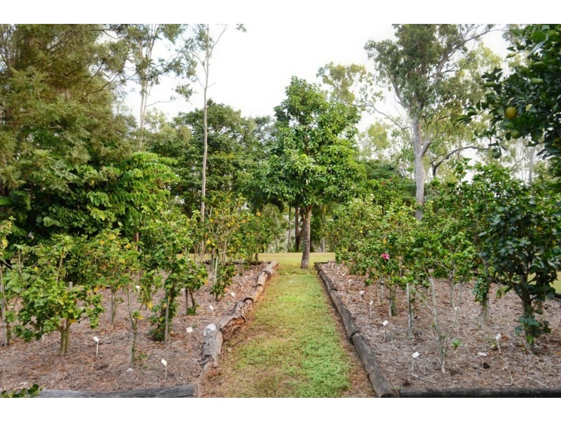 53 Mountney Road, Strathdickie QLD 4800