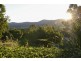 45 Kookaburra Drive, Cannonvale QLD 4802