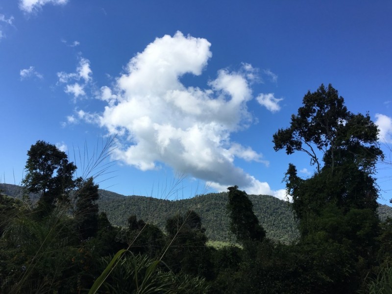 39C Moonlight Drive, Jubilee Pocket QLD 4802