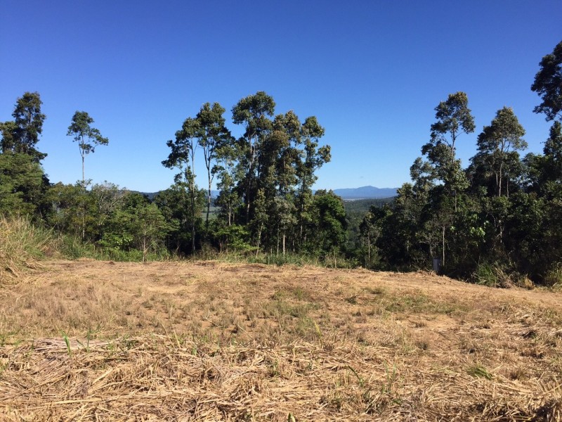 106 Moodys Road, Strathdickie QLD 4800