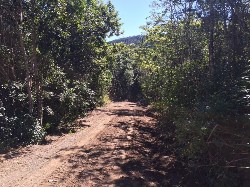 106 Moodys Road, Strathdickie QLD 4800