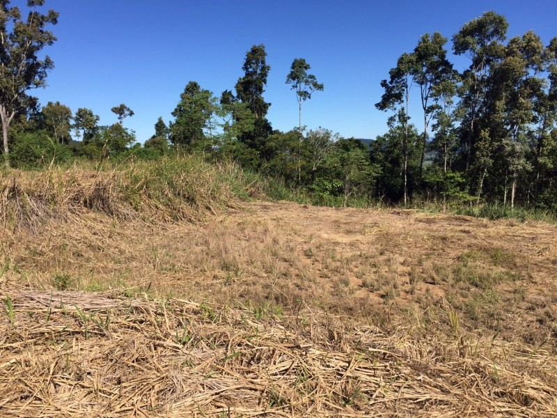 106 Moodys Road, Strathdickie QLD 4800