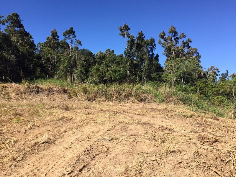 106 Moodys Road, Strathdickie QLD 4800