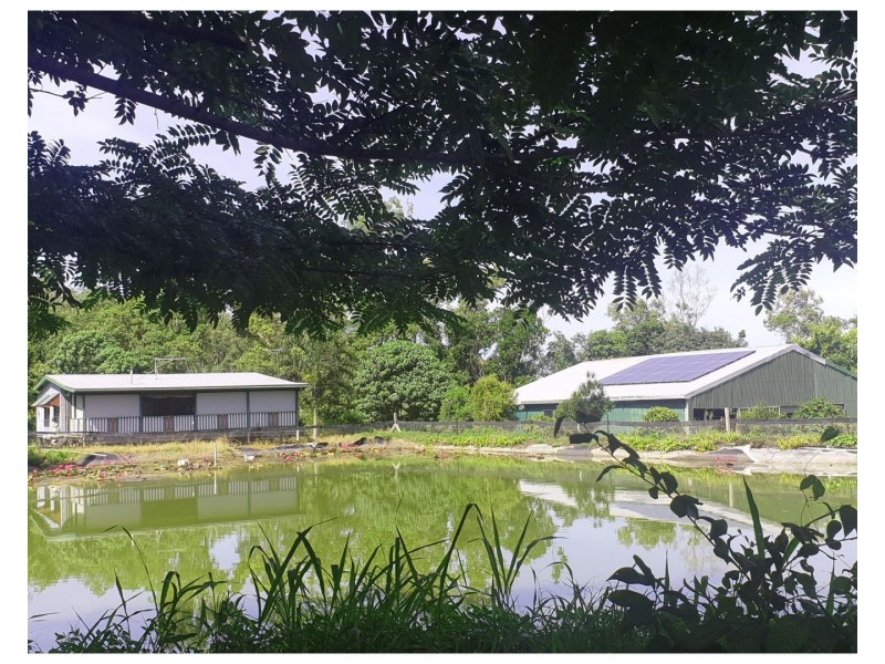134 Ashton Road, Gregory River QLD 4800