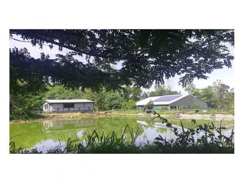 134 Ashton Road, Gregory River QLD 4800