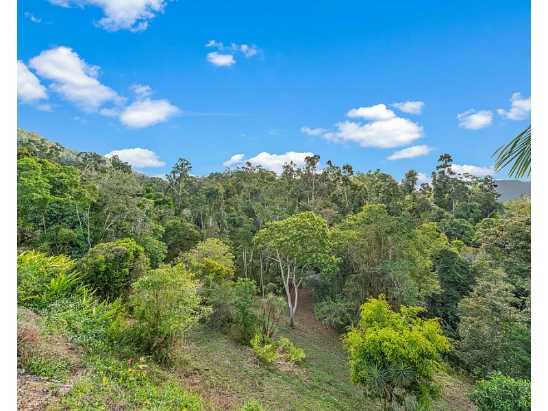 110 Orchid Road, Cannon Valley QLD 4800