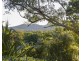 45 Kookaburra Drive, Cannonvale QLD 4802