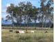 Lot 39/145 Midge Point Road, Bloomsbury QLD 4799