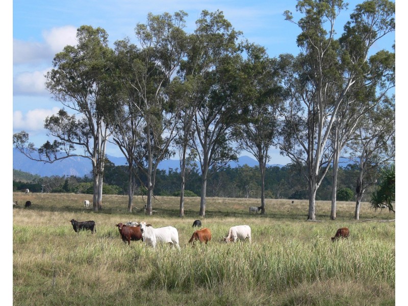 Lot 39/145 Midge Point Road, Bloomsbury QLD 4799