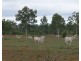 Lot 39/145 Midge Point Road, Bloomsbury QLD 4799