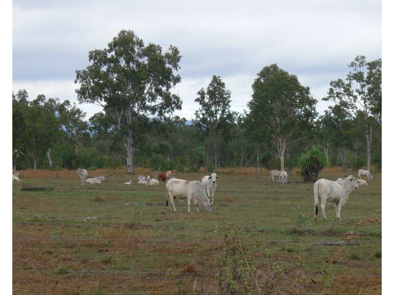 Lot 39/145 Midge Point Road, Bloomsbury QLD 4799