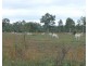 Lot 39/145 Midge Point Road, Bloomsbury QLD 4799