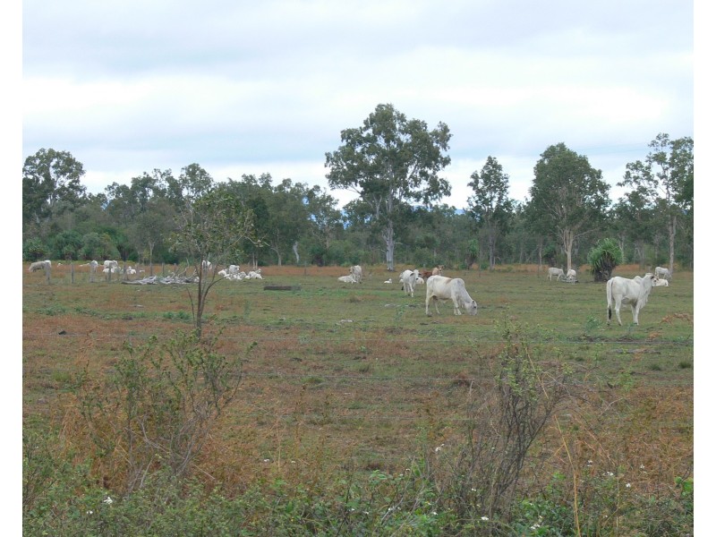 Lot 39/145 Midge Point Road, Bloomsbury QLD 4799