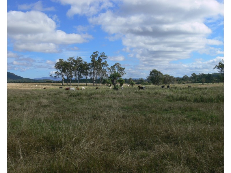 Lot 39/145 Midge Point Road, Bloomsbury QLD 4799