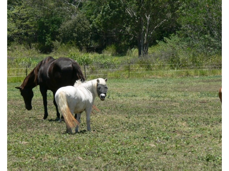 Lot 6 Telford Rise Estate, Telford Road, Strathdickie QLD 4800