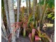 17 Bundesen Avenue, Midge Point QLD 4799