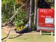 17 Bundesen Avenue, Midge Point QLD 4799