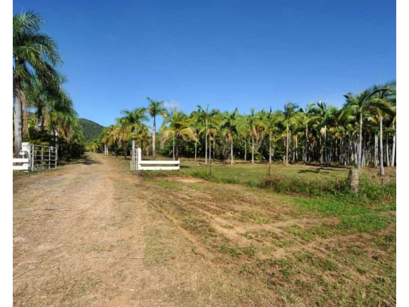 1069 Conway Road, Conway QLD 4800
