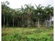 1069 Conway Road, Conway QLD 4800