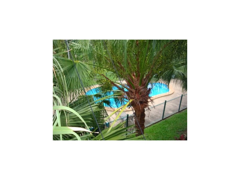 Unit 1/15 Tropic Road, Cannonvale QLD 4802