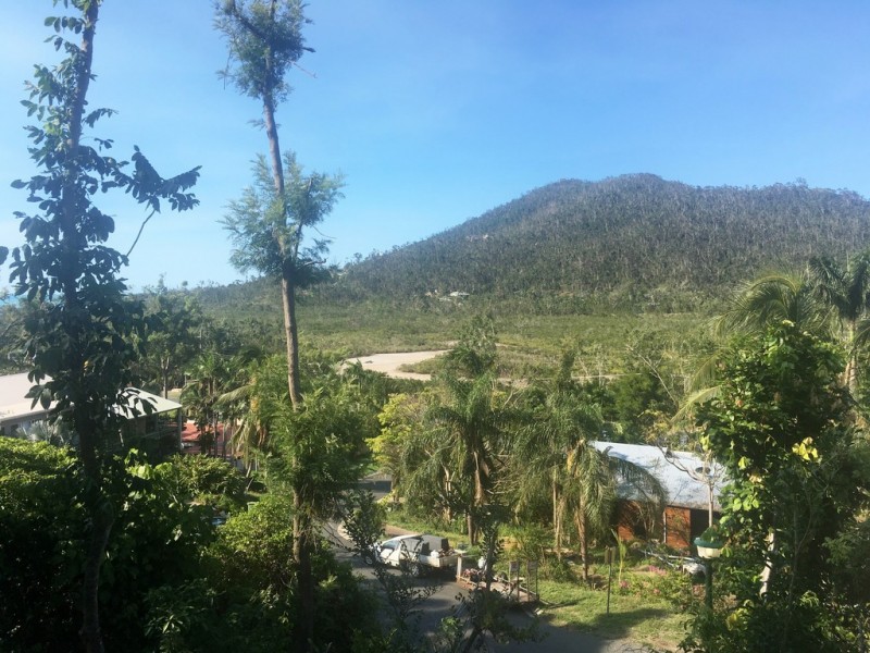 Unit 1/9 Cedar Court, Jubilee Pocket QLD 4802