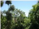 21 Island Drive, Cannonvale QLD 4802