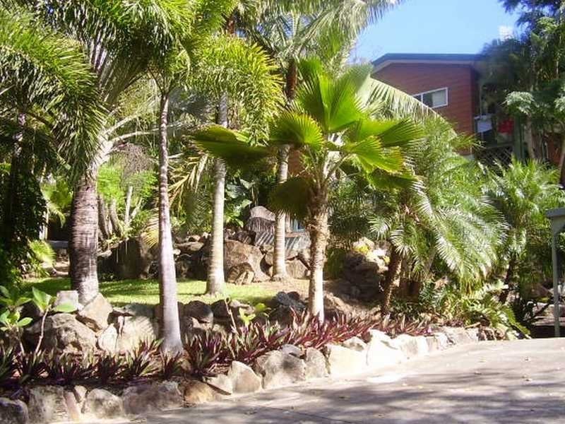 22 Eshelby Drive, Cannonvale QLD 4802