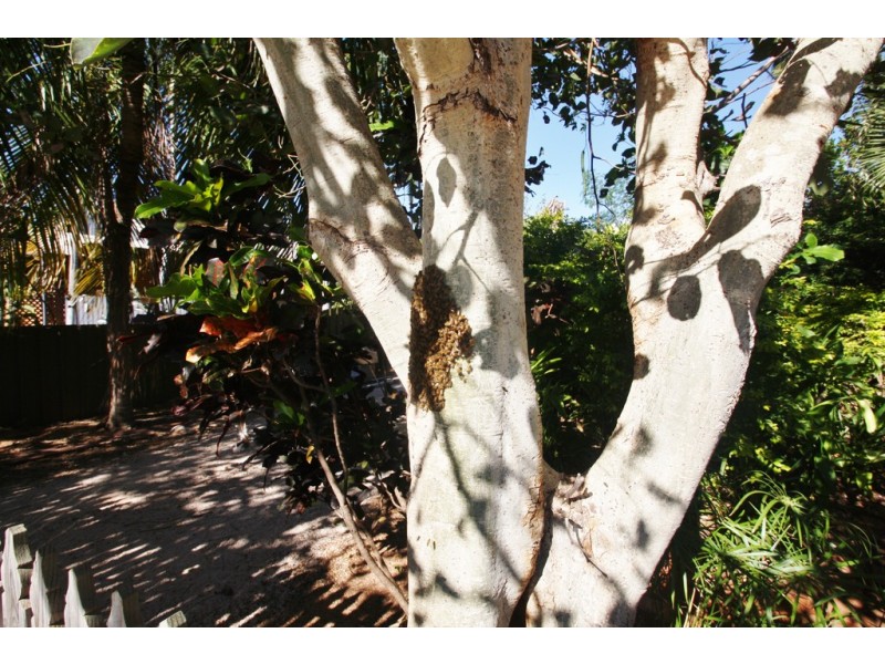 6A Fox Court, Cable Beach WA 6726