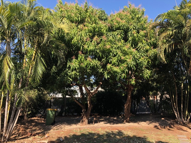 27 Guy Street, Broome WA 6725