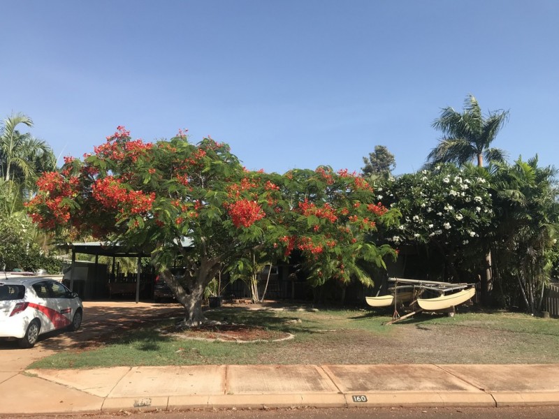 160 Sanderling Drive, Djugun WA 6725