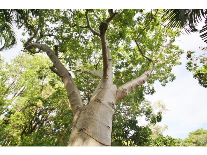 29 Herbert Street, Broome WA 6725