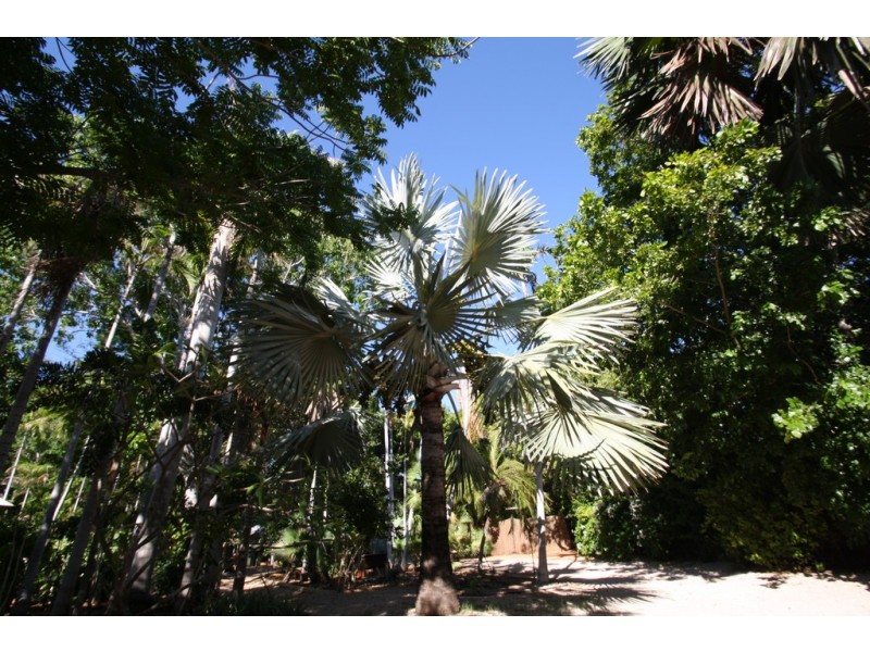 1/29 Herbert Street, Broome WA 6725