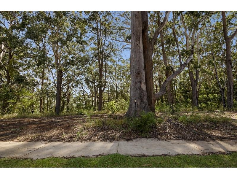 2/131 The Point Drive, Port Macquarie NSW 2444