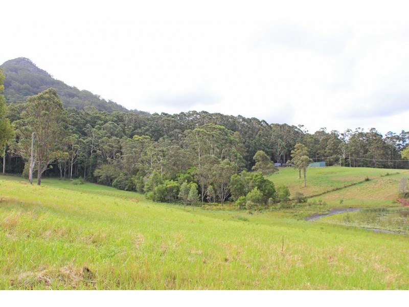 261 Riddles Brush Road, Johns River NSW 2443