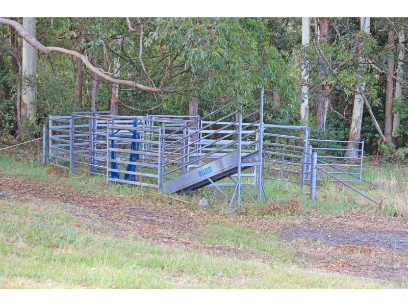 261 Riddles Brush Road, Johns River NSW 2443