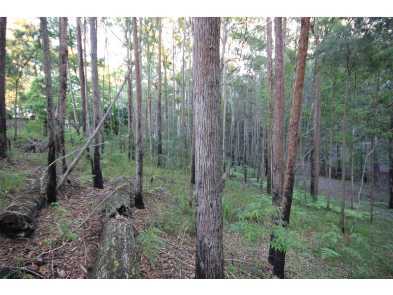 25 Caringal Drive, Middle Brother NSW 2443