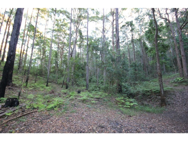 25 Caringal Drive, Middle Brother NSW 2443