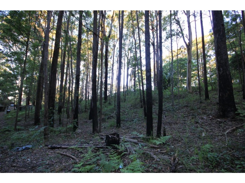 25 Caringal Drive, Middle Brother NSW 2443