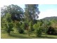 42 Comboyne Street, Kendall NSW 2439