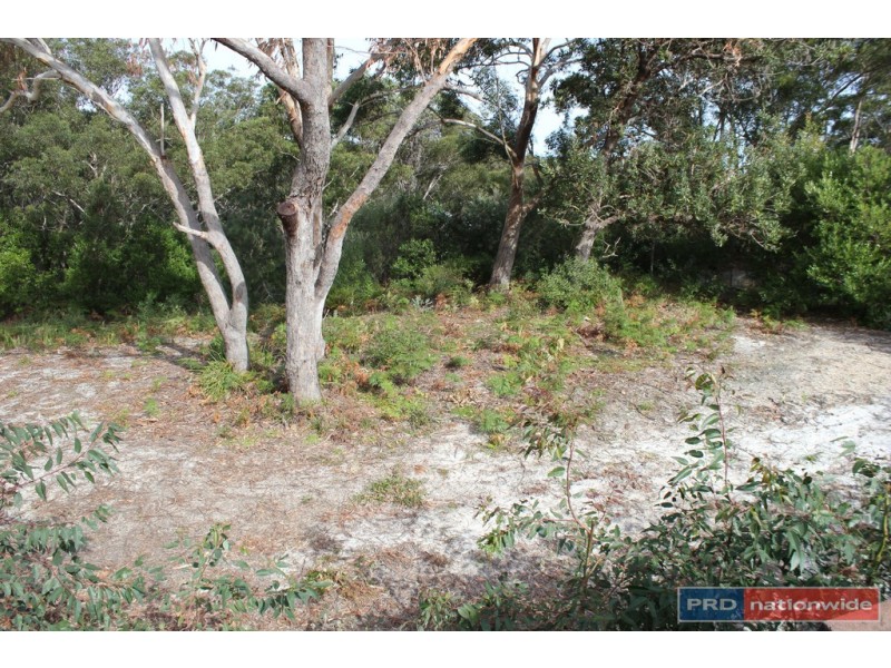 20 Birramal Drive, Dunbogan NSW 2443