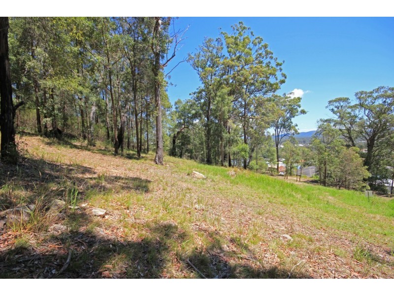 5 Crows Nest Close, Lakewood NSW 2443