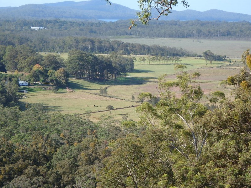 16 Grasstree Way, Rossglen NSW 2439