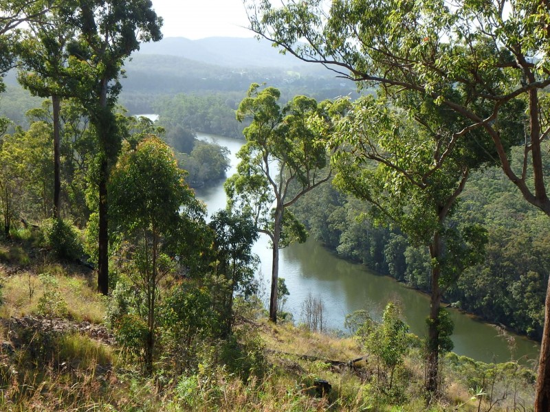 16 Grasstree Way, Rossglen NSW 2439